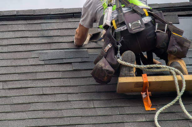 Best Roof Moss and Algae Removal  in Dickinson, TX